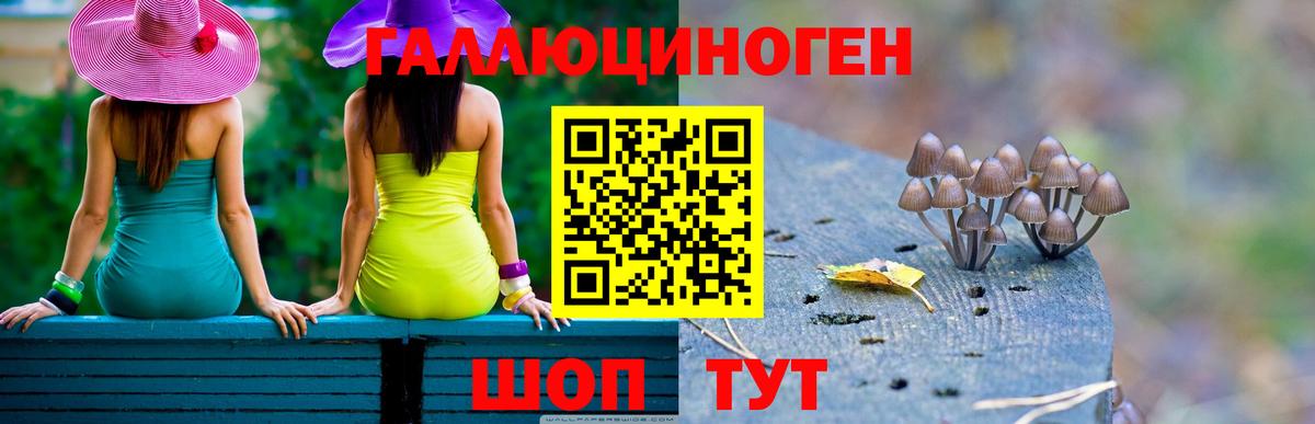 Псилоцибиновые грибы мухоморы  Галлюциногенные грибы MAGIC MUSHROOMS  купить наркотики сайты  Балашиха  Вход с VPN 
